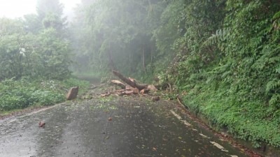 08-5月22日大雪山林道30.5k 發生倒木及落石  已清理完成